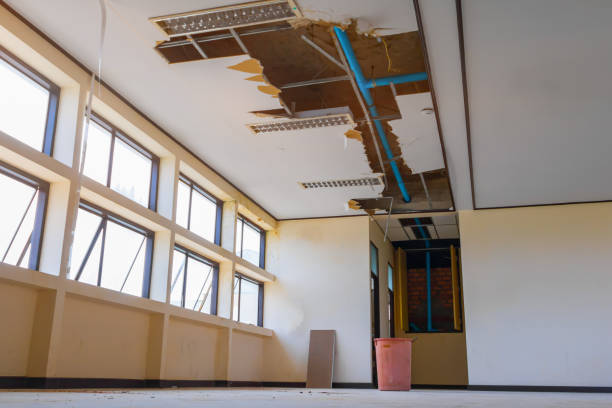 Best Water damage restoration services  in Eunice, LA