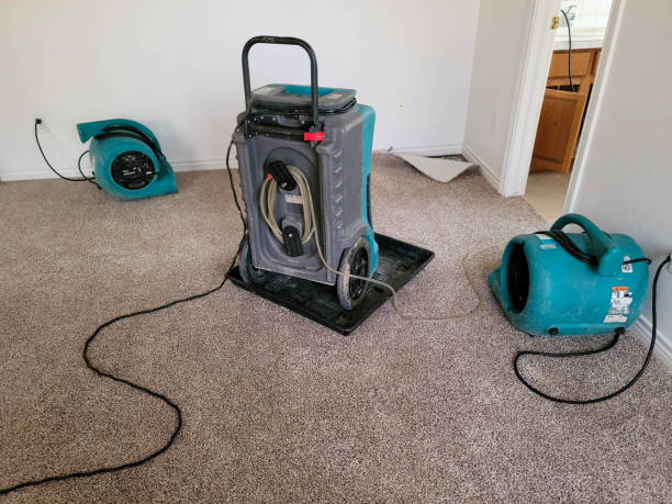 Best Fire Damage Restoration  in Eunice, LA