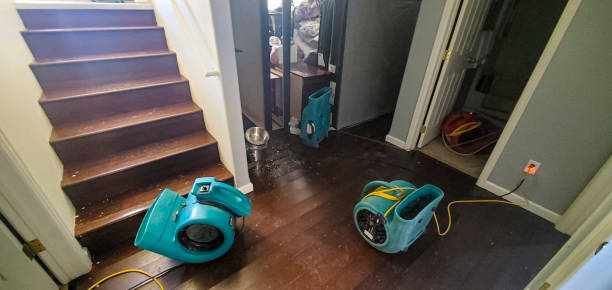 Best Local water damage restoration  in Eunice, LA