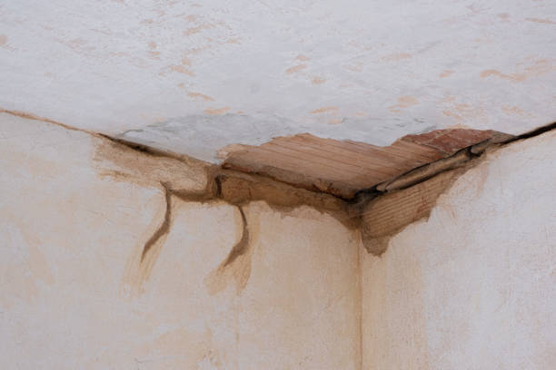 Best Flood damage cleanup  in Eunice, LA