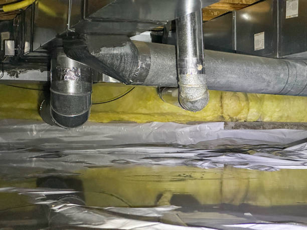 Best Carpet water damage restoration  in Eunice, LA