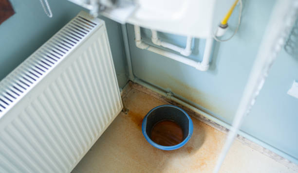Best Ceiling water damage repair  in Eunice, LA
