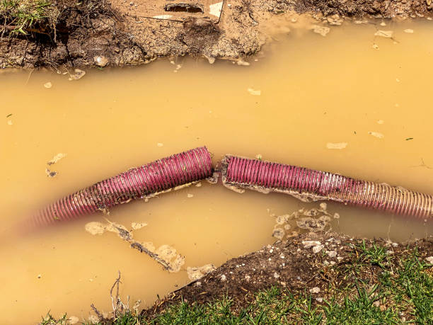 Best Local water damage restoration  in Eunice, LA