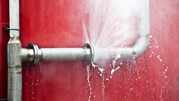 Best Water damage cleanup near me  in Eunice, LA